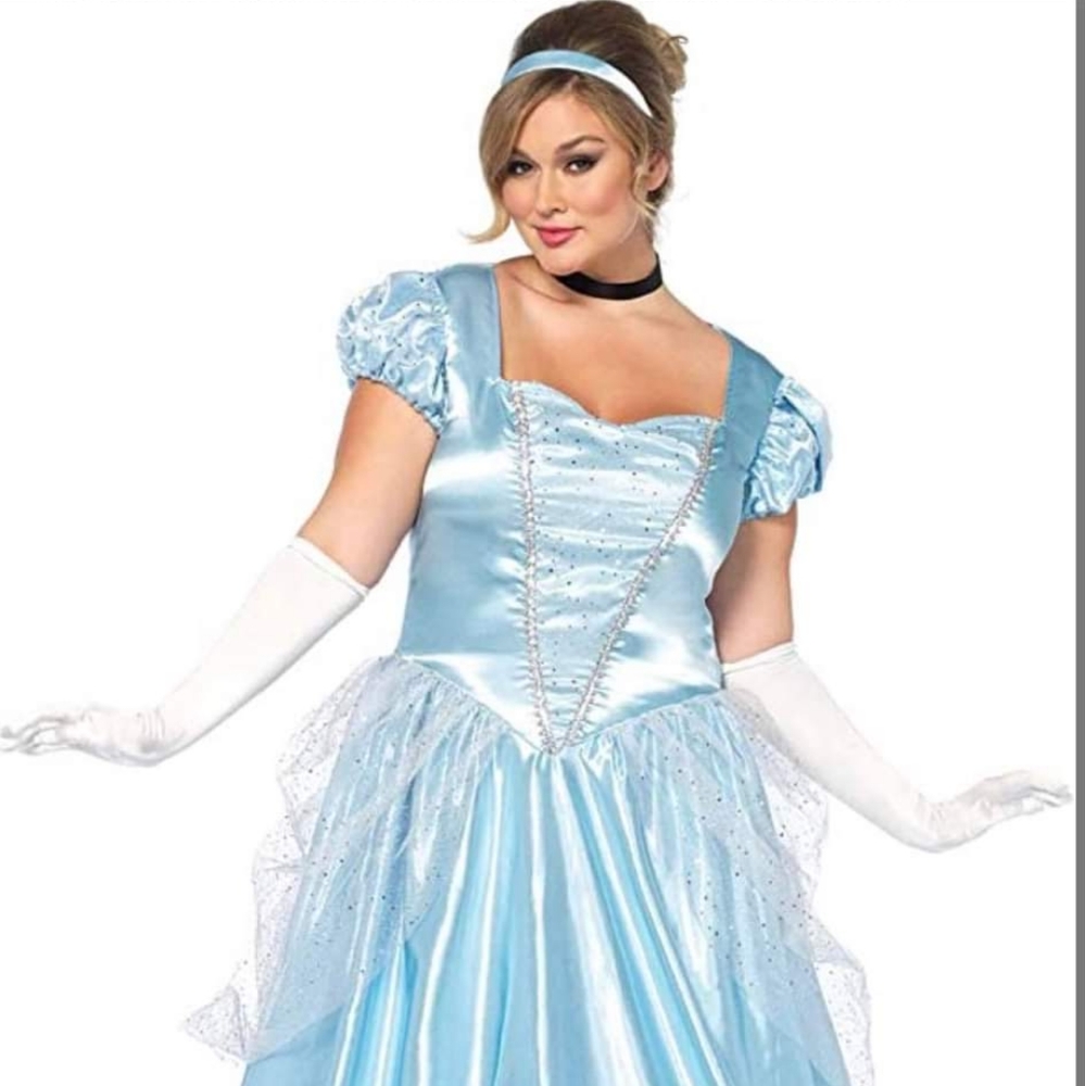 Woman's 3x Plus Size Cinderella Costume with Hoop Skirt